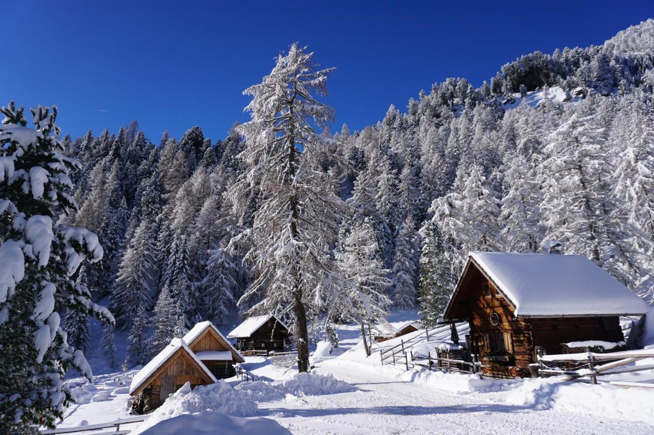 Turracher Hohe Bergheim Schmidt, Almhuetten Im Wald Appartments An Der Piste Alpine Huts In Forrest Appartments Near Slope מראה חיצוני תמונה