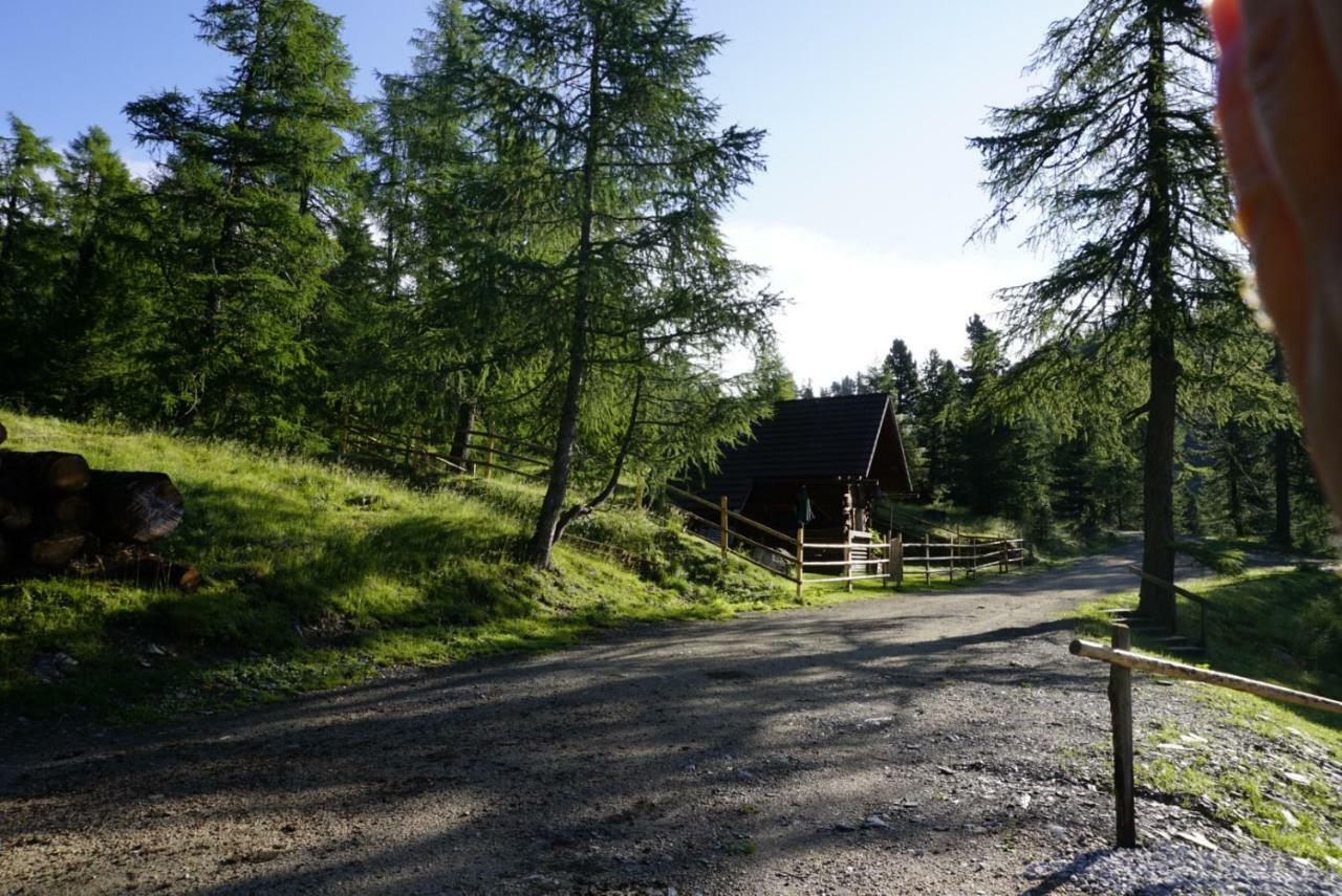 Turracher Hohe Bergheim Schmidt, Almhuetten Im Wald Appartments An Der Piste Alpine Huts In Forrest Appartments Near Slope מראה חיצוני תמונה