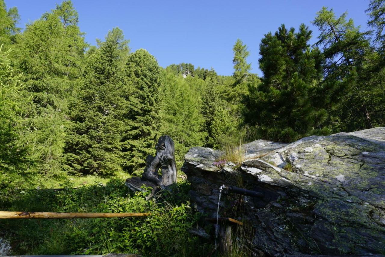 Turracher Hohe Bergheim Schmidt, Almhuetten Im Wald Appartments An Der Piste Alpine Huts In Forrest Appartments Near Slope מראה חיצוני תמונה