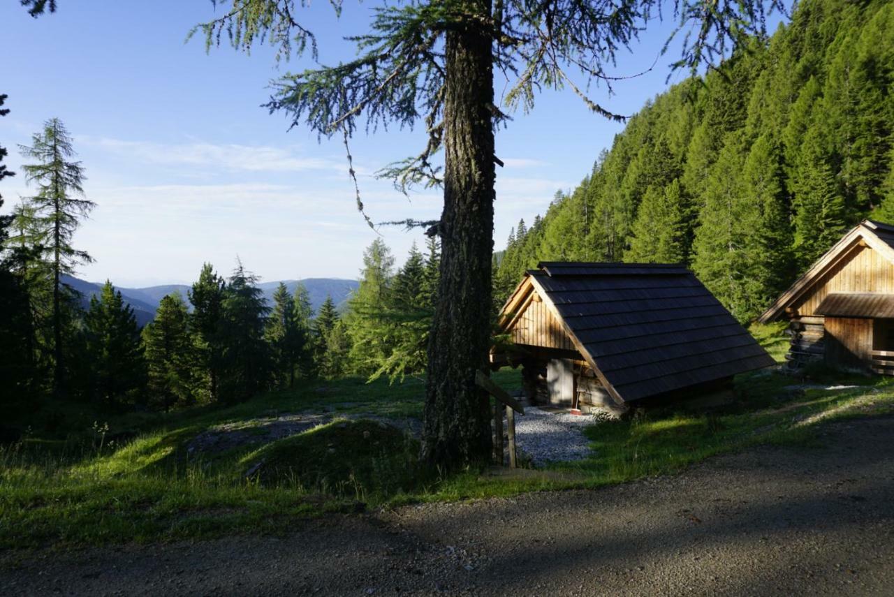 Turracher Hohe Bergheim Schmidt, Almhuetten Im Wald Appartments An Der Piste Alpine Huts In Forrest Appartments Near Slope מראה חיצוני תמונה